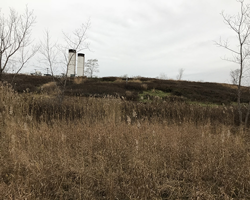 Freshkills tour