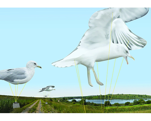 Gull Monument